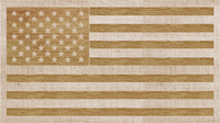 US Flag